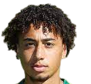 https://img.zenratai.com/img/football/player/347a6d58ae7ec0425a4d42bc9215c411.png